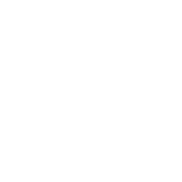 Icon for e-commerce