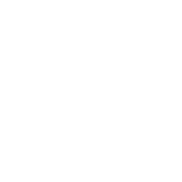 Icon for e-commerce