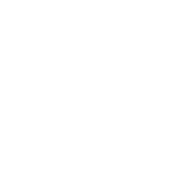 Icon for software