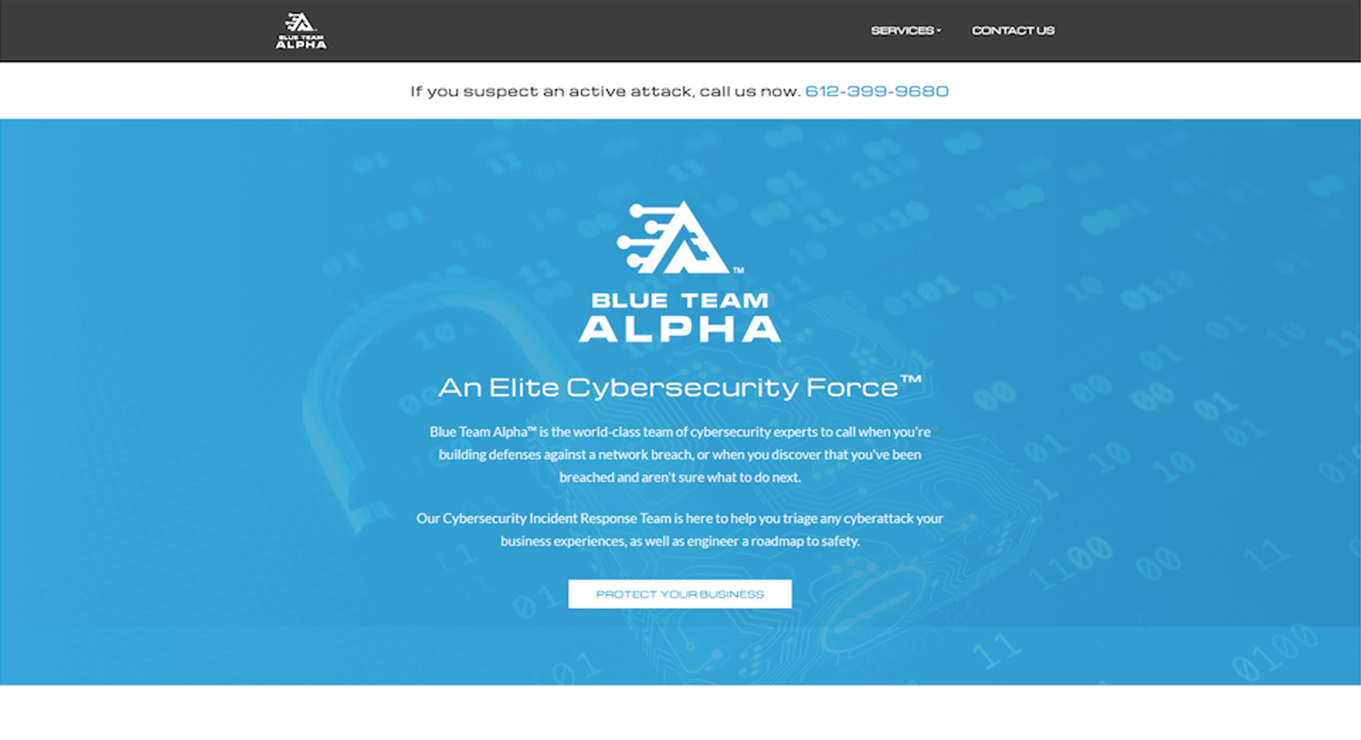 Home page for Blue Team Alpha before redesign