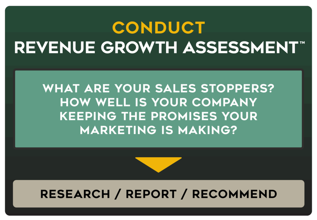 Revenue Growth Assessment Infographic